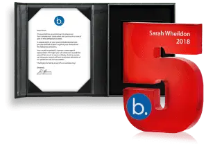 5 Optional add-ins include